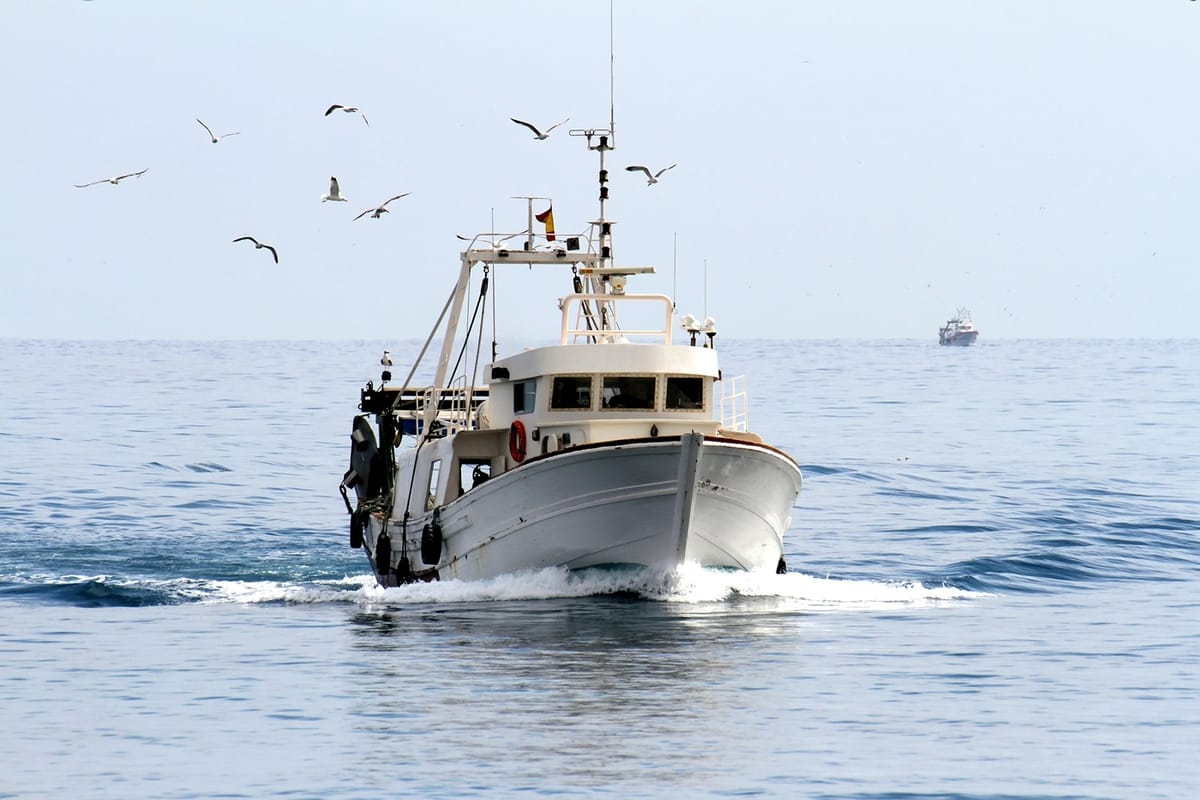 Tasmanian fisheries forensics technology set to improve global catch management