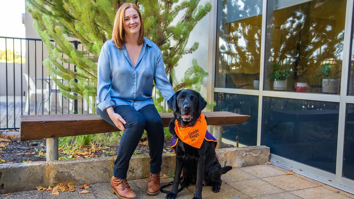 New study shows how justice facility dogs benefit wellbeing for children facing court