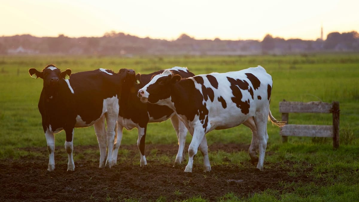 Collaboration needed to maintain Australia's disease-free status