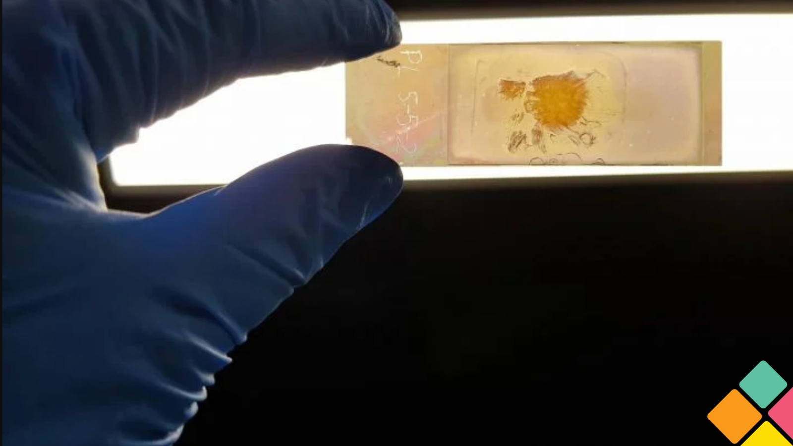 Instant cancer detection on a glass slide | 2024 Shaping Australia Awards finalists