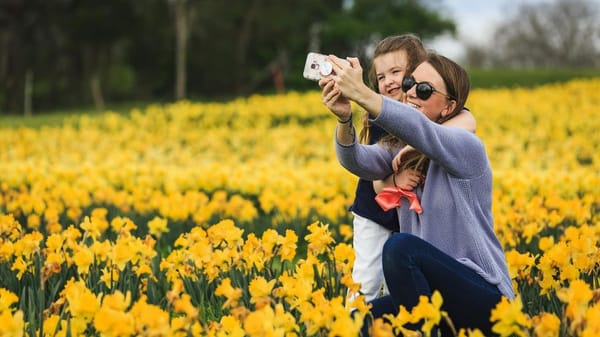 Nature at risk in the hunt for the perfect selfie