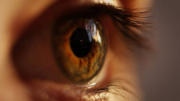 Researchers taking a closer look at eye cancer