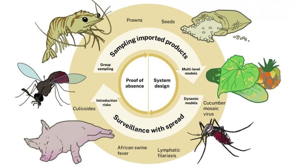 Using maths to help Australia’s biosecurity: Professor Katie Glass and team’s ARC Linkage grant success