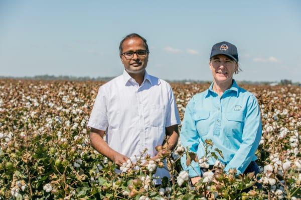 Landmark approach to cotton disease research