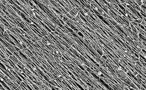 Researchers spinning fibers to help the Territory and beyond