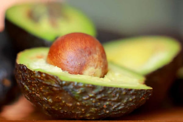 $1.35 million research grant to protect Australian avocados