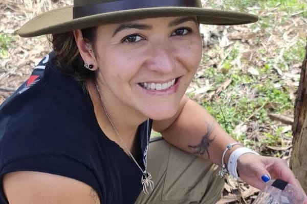 Secret spider societies reveal surprising brain differences