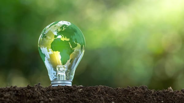 New energy industries thriving under China's environmental pressures