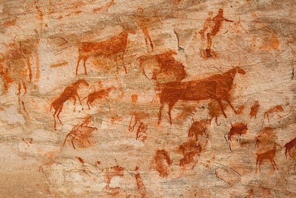 How humans reshaped the animal world