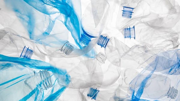 Turning shopping bags into streets: ECU research tackles plastic waste