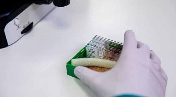 ‘Cutting-edge’ research hub decoding disease at a cellular level