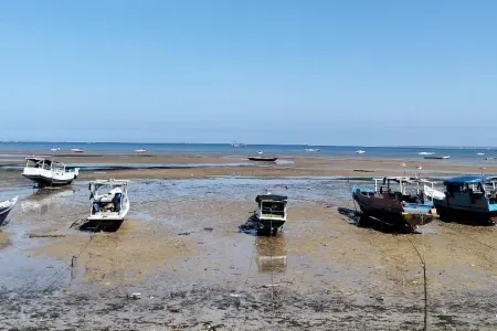 Reasons for illegal fishing “more nuanced” than previously thought, international research shows